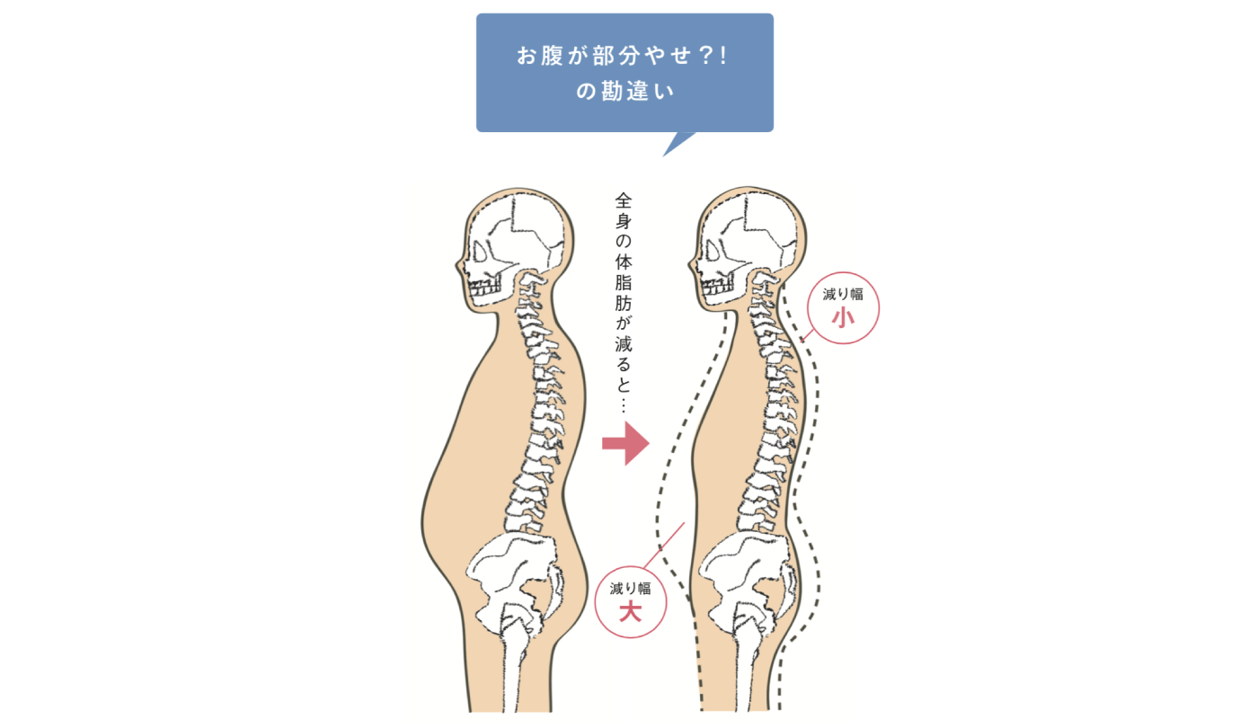 部分やせ はあり得ない スクワットで 全身やせ