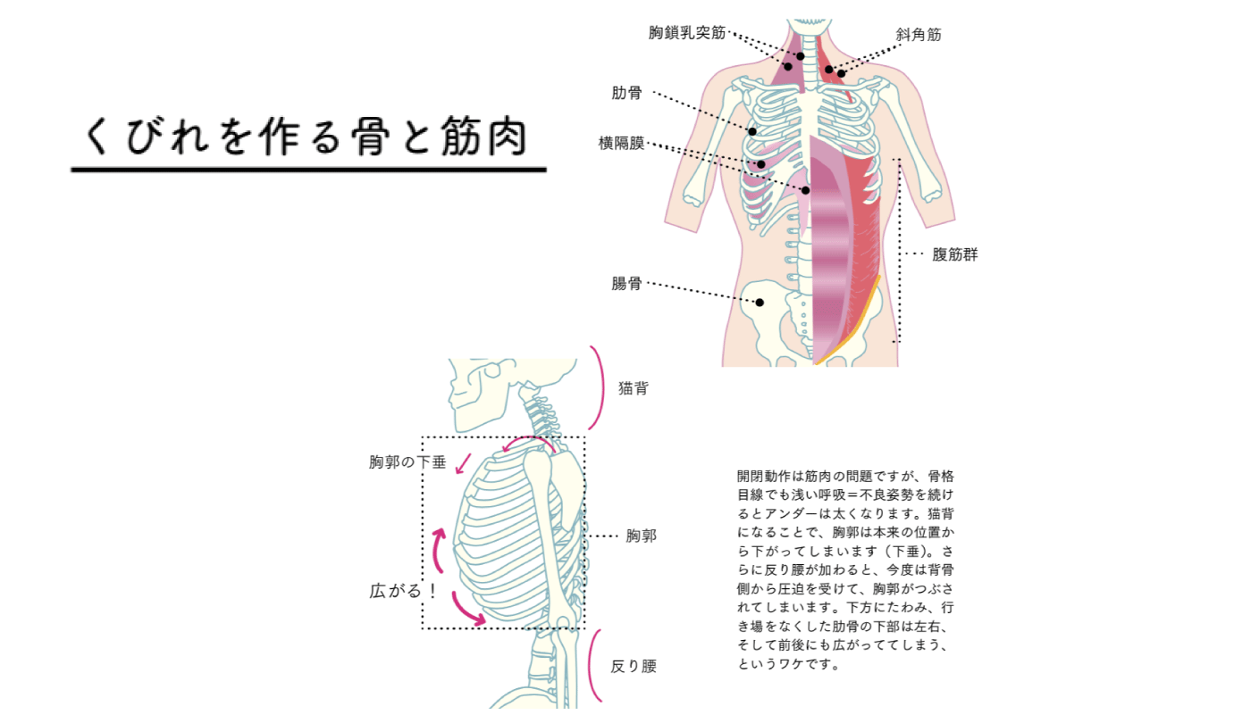 不良姿勢と浅い呼吸でアンダーバストが太くなる