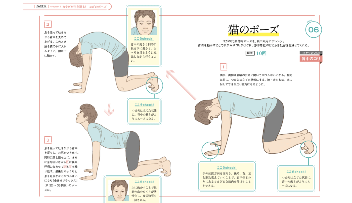 背中のコリに効く 猫のポーズ ヨガのポーズとは