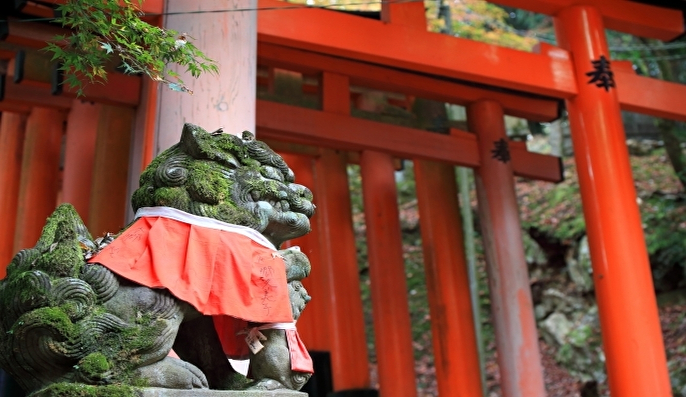 神社にある狛犬とキツネの由来と役割とは 神社の話