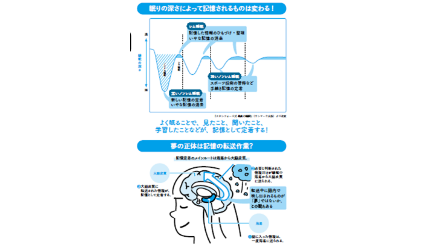 10. 整理整頓をする