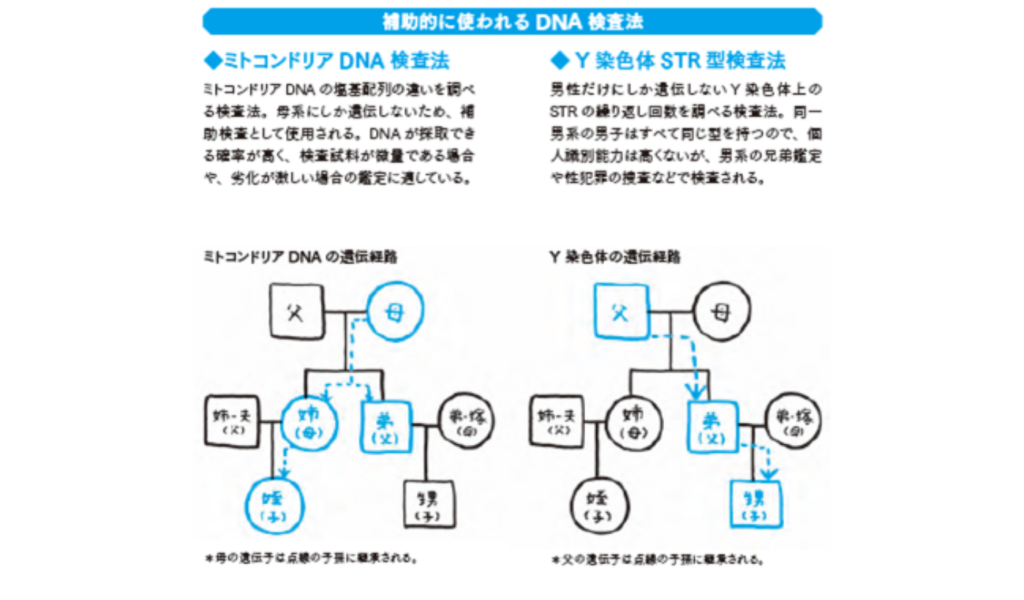 よく耳にするdna検査 実際はどのようにして行われるのか 科学捜査