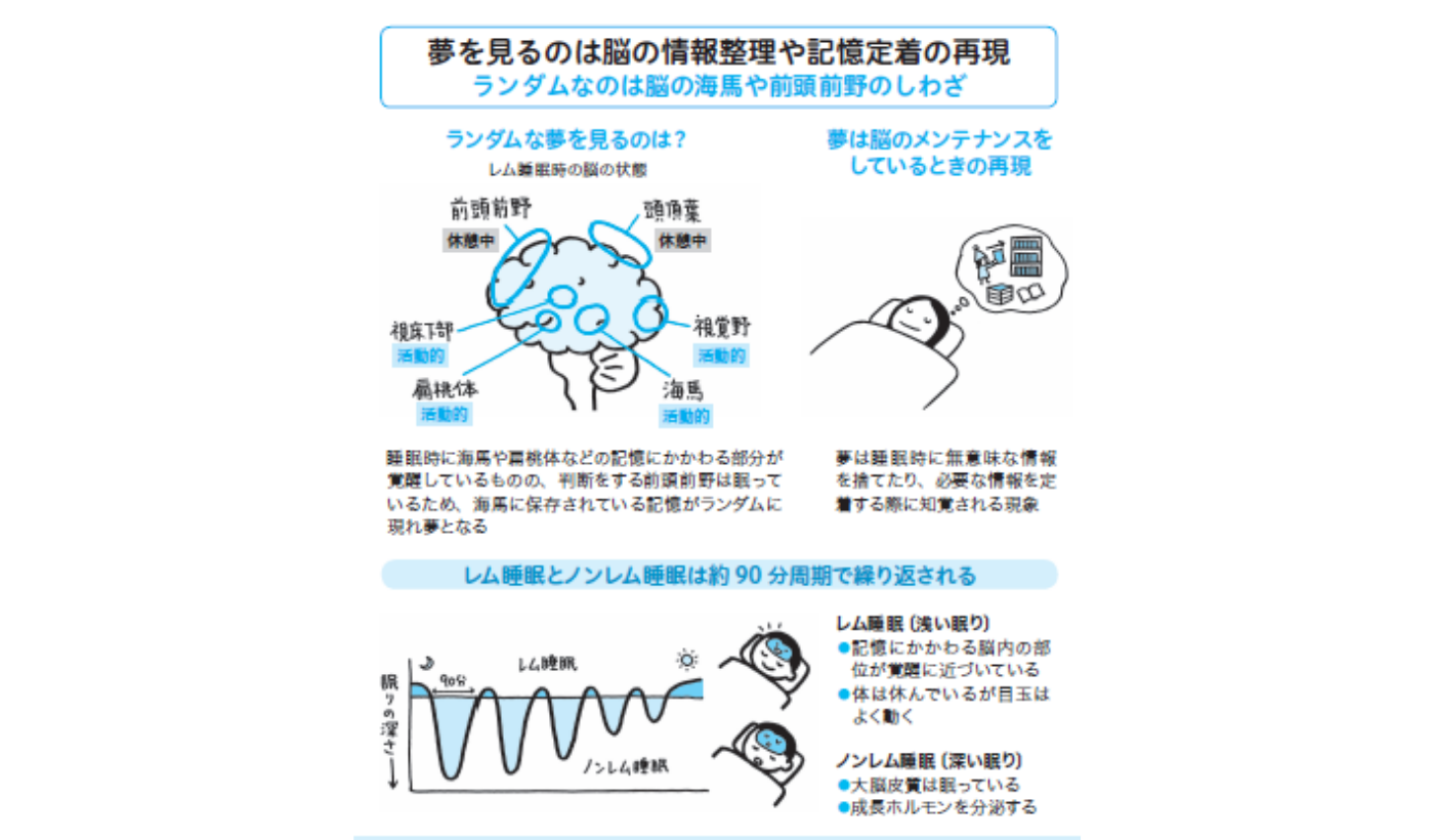 自分でも想像できないような夢を見てしまうのは脳がメンテナンスをして