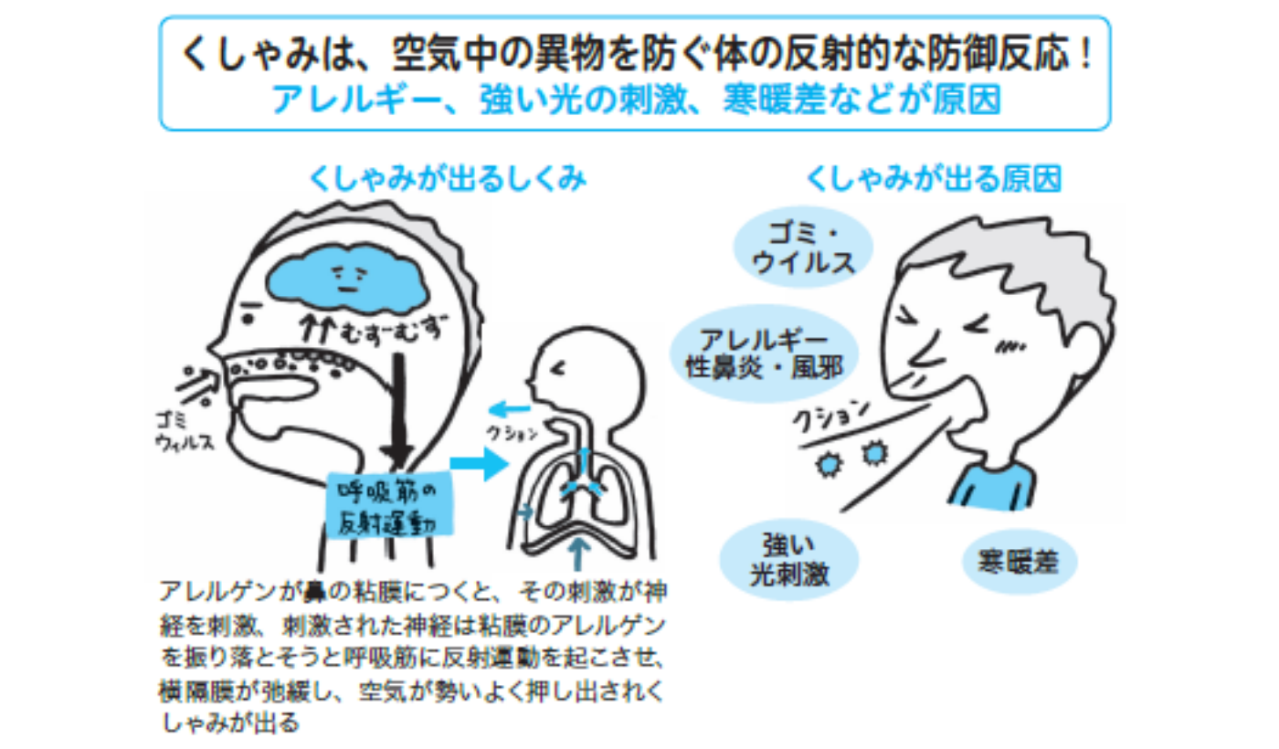 なぜくしゃみをするのか