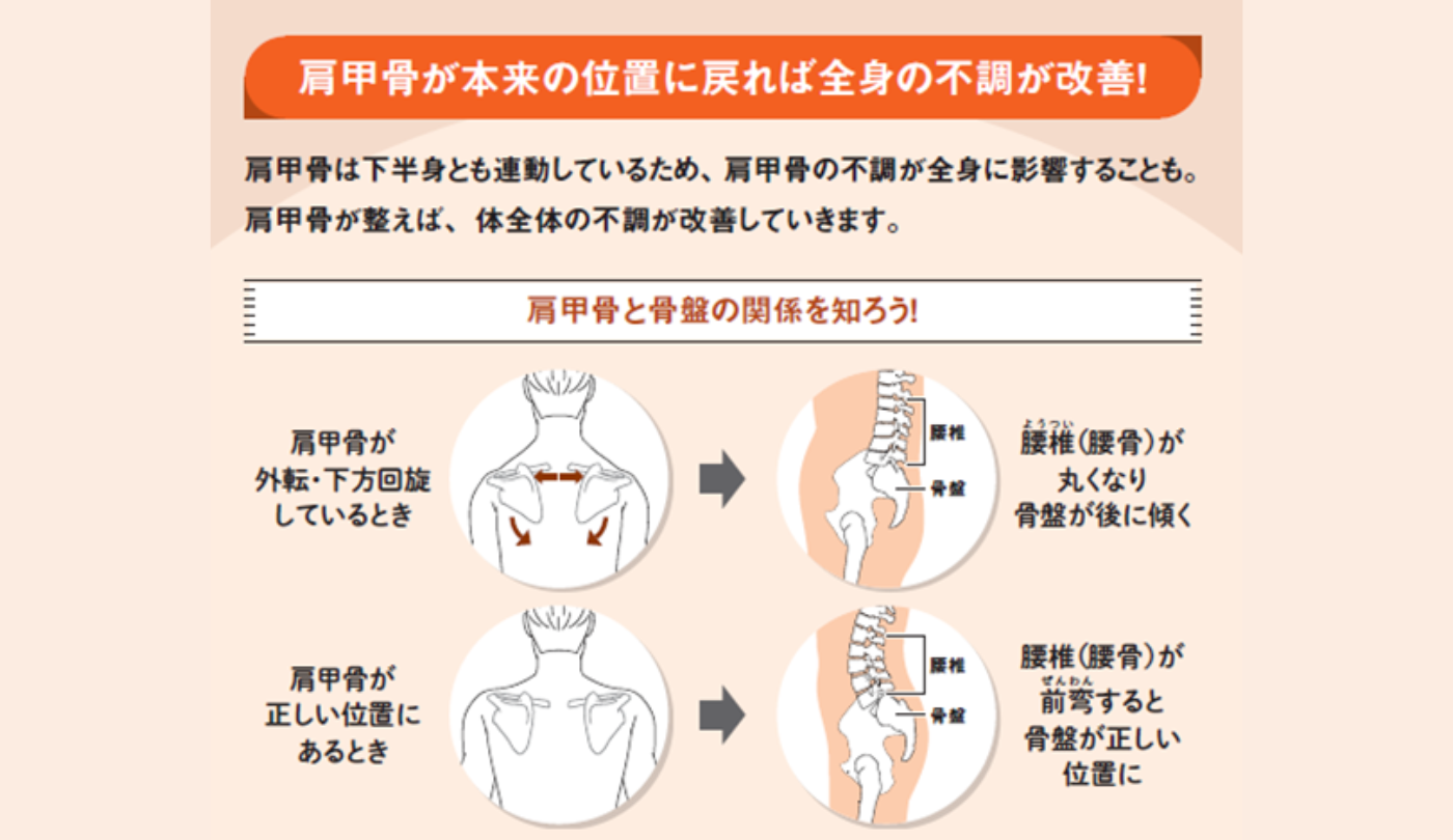 肩甲骨が本来の位置に戻れば全身の不調が改善
