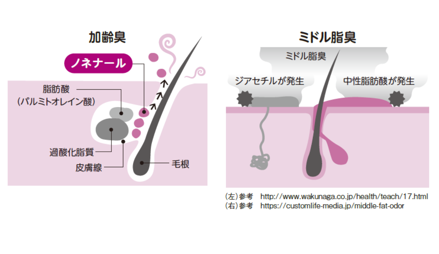 テストステロン どんな 匂い