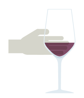 ワインの観察/色の濃さを確かめる『エコール・デ・ヴァン・エ・スピリテューの一生に一冊はもっておきたいワインの教科書』