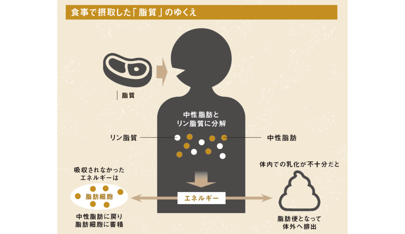医師の診察を受ける時期