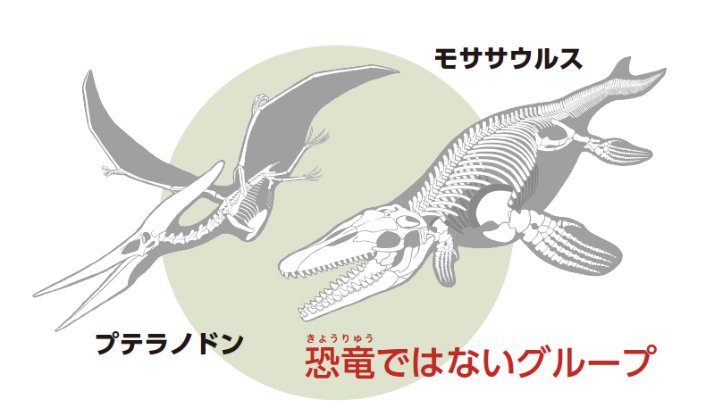 プテラノドン、モササウルスは恐竜ではないグループ『すけすけ恐竜骨ぬりえずかん』
