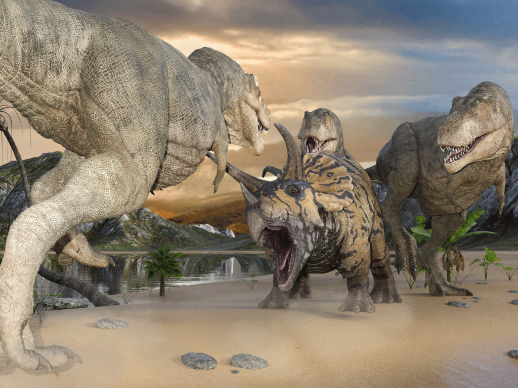 ティラノサウルスとトリケラトプス『すけすけ恐竜骨ぬりえずかん』