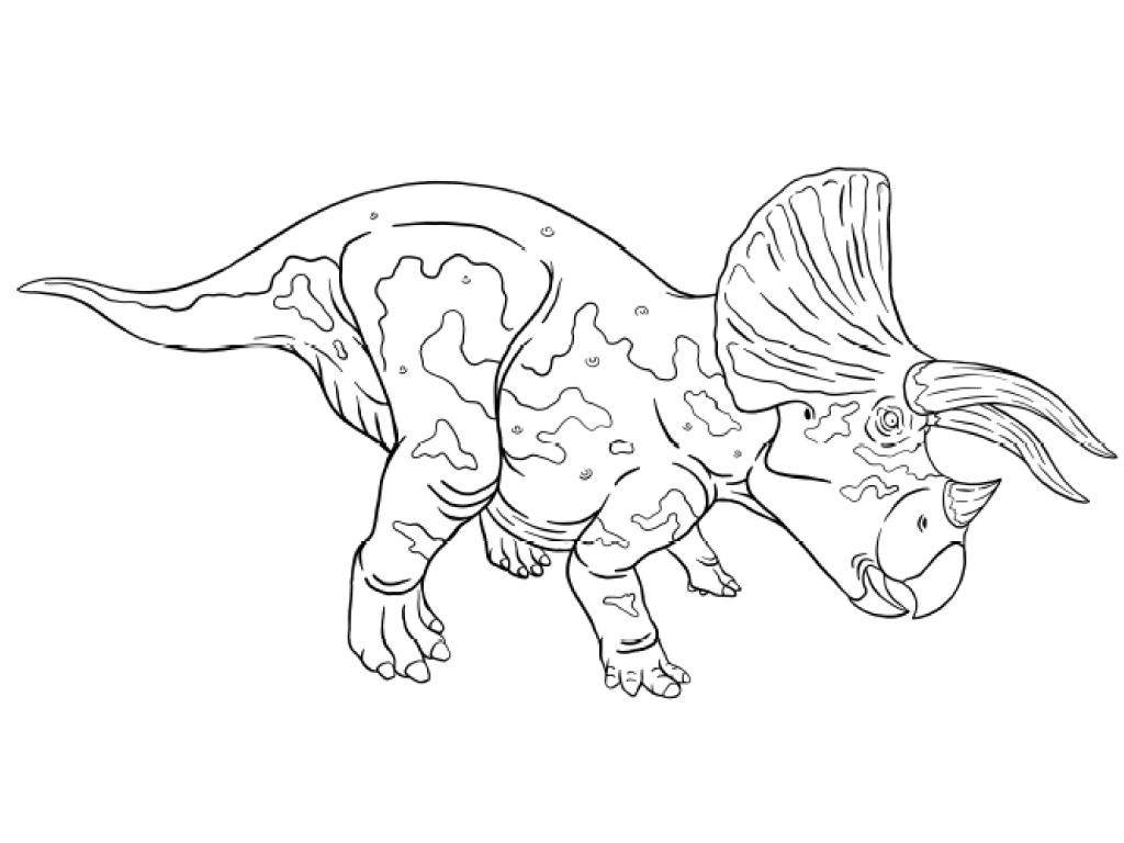 大きなフリルと3本ツノが特徴の角竜(つのりゅう)トリケラトプス『すけすけ恐竜骨ぬりえずかん』