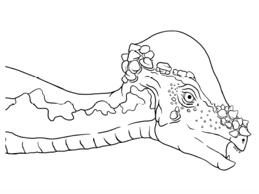 恐竜界のキング・オブ・石頭パキケファロサウルス『すけすけ恐竜骨ぬりえずかん』