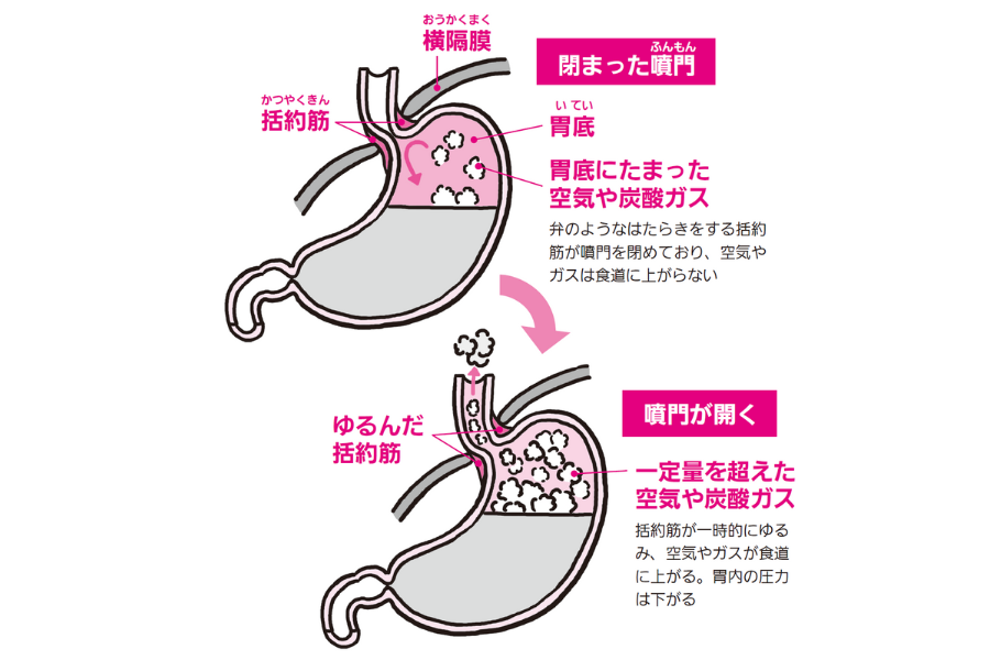 げっぷの家庭療法