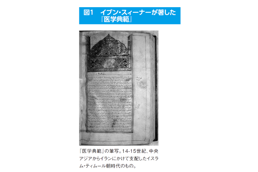 モモの桃仁『眠れなくなるほど面白い　図解プレミアム　化学の話』