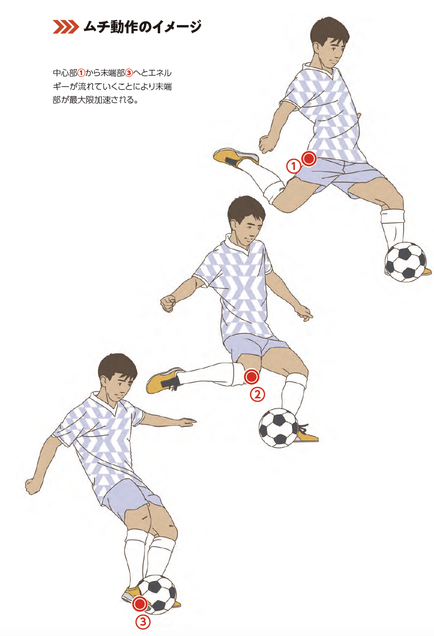 ムチ動作のイメージ『東大卒キックコーチが教える 本当に正しいキックの蹴り方』