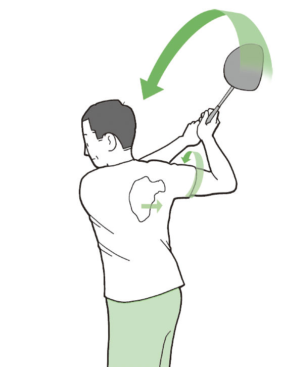左肩を下げても右肩は上がらない『ゴルフ当たる！飛ばせる！スウィング解剖図鑑 イラストでわかる身体とクラブの正確な使い方』