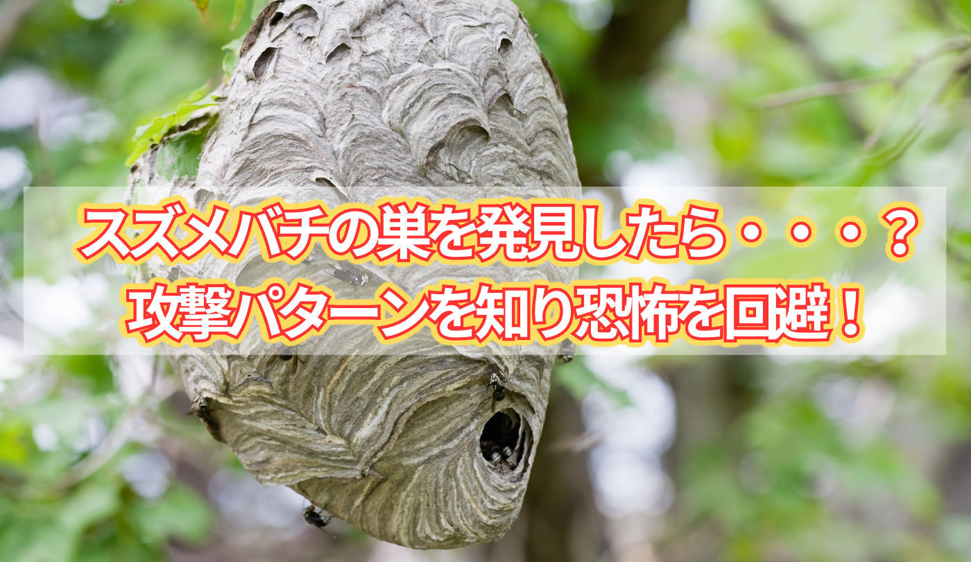 スズメバチの巣を発見したら・・・？攻撃パターンを知り恐怖を回避！ タイトル画像。文字の背景にはスズメバチの巣の写真。