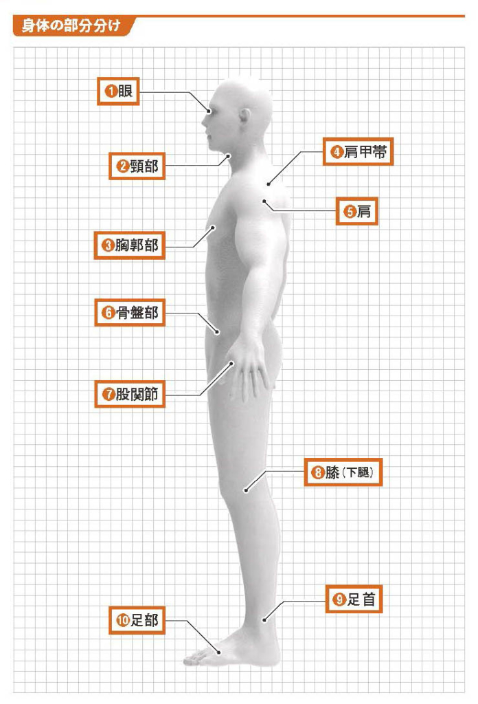 身体の部分分け【スポーツ障害予防の教科書】
