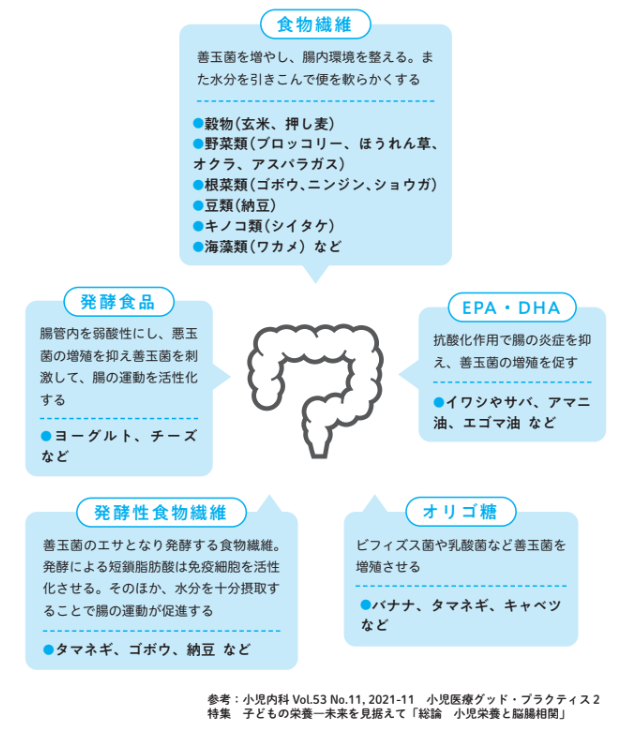 腸内環境を整える栄養素&食べ物【小児科医ママが教えたい　体・脳・心を育てる！子どもの食事】