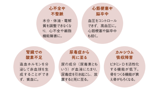 腎臓の血管が痛むとフィルター機能が働かなくなる【眠れなくなるほど面白い 図解 炭水化物の話】