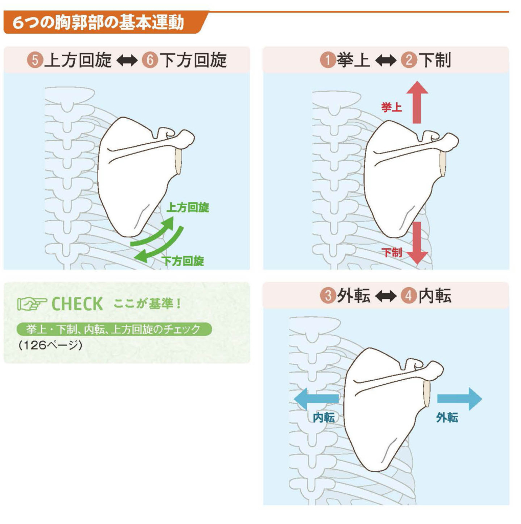 【スポーツ障害予防の教科書】