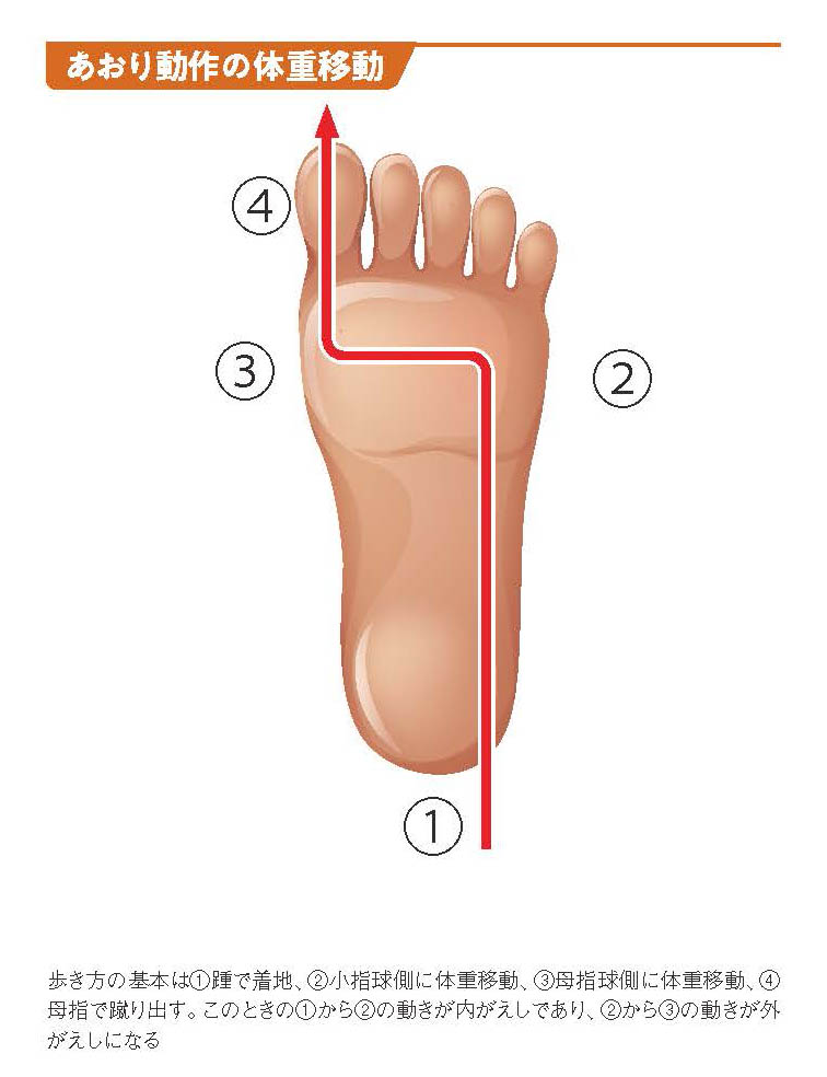 あおり動作の体重移動【スポーツ障害予防の教科書】