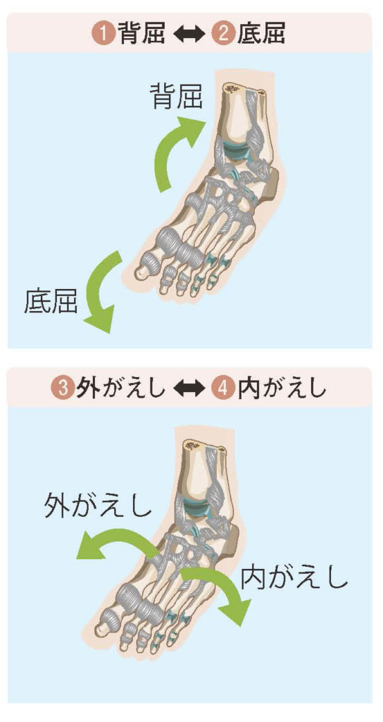 6つの足首の基本運動【スポーツ障害予防の教科書】