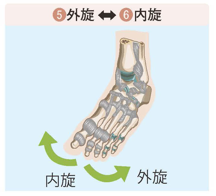 6つの足首の基本運動【スポーツ障害予防の教科書】