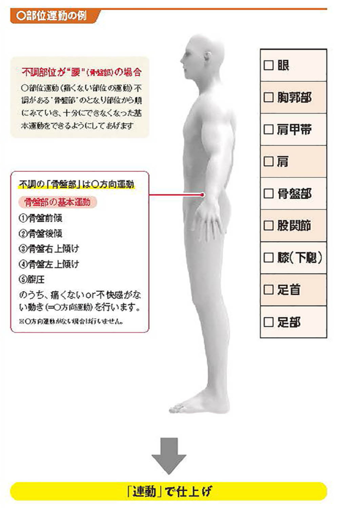 〇部位運動の例【スポーツ障害予防の教科書】