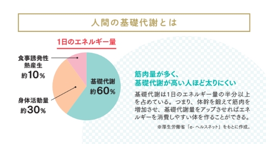 人間の基礎代謝とは【プロトレーナーが本気で教える 完全体幹教本】