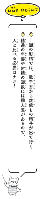 「勃つ」ってなにが起きているの？ONE POINT【12歳までに知っておきたい男の子のためのおうちでできる性教育】