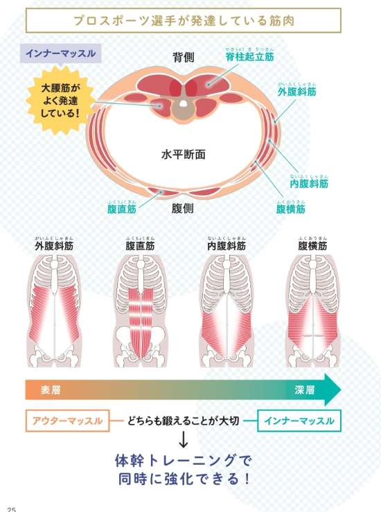 プロスポーツ選手が発達している筋肉【プロトレーナーが本気で教える 完全体幹教本】