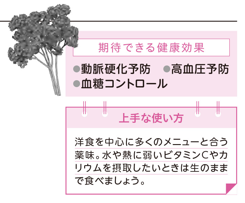 パセリ：ミネラルたっぷりの名脇役【1週間で勝手に最強の免疫力がつくすごい方法】