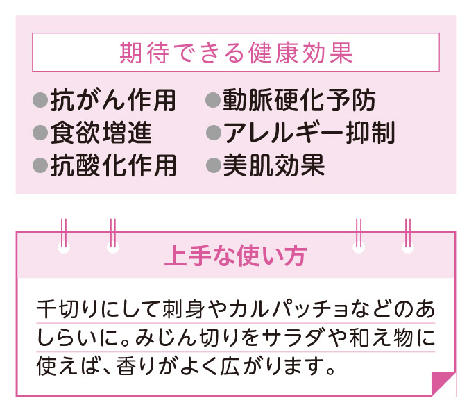 大葉：さわやかな香りと多くの栄養素【1週間で勝手に最強の免疫力がつくすごい方法】