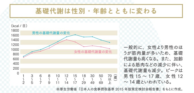 基礎代謝は性別・年齢とともに変わる【プロトレーナーが本気で教える 完全体幹教本】