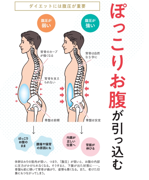 ダイエットには腹圧が必要【プロトレーナーが本気で教える 完全体幹教本】