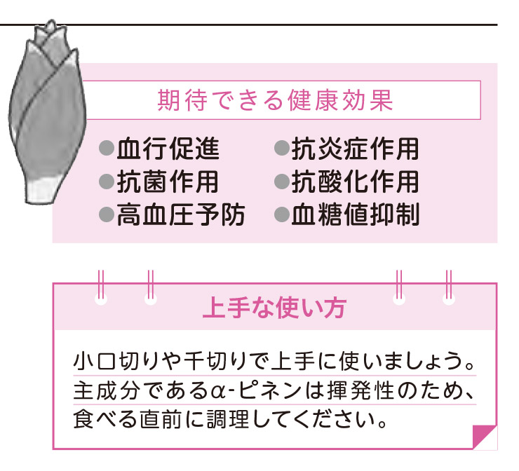 みょうが：油との相性抜群カットは食べる直前に【1週間で勝手に最強の免疫力がつくすごい方法】