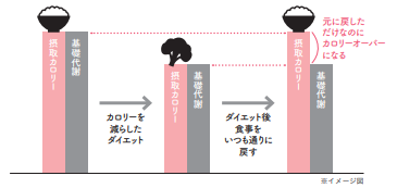 極端なダイエットは基礎代謝が落ちる【1週間で勝手に-10歳若返る体になるすごい方法】