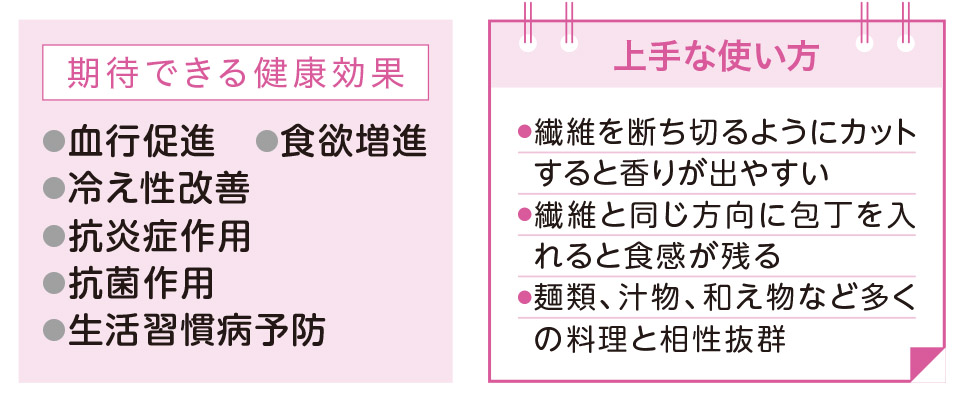 しょうが：「薬味の王様」は栄養素たっぷり【1週間で勝手に最強の免疫力がつくすごい方法】