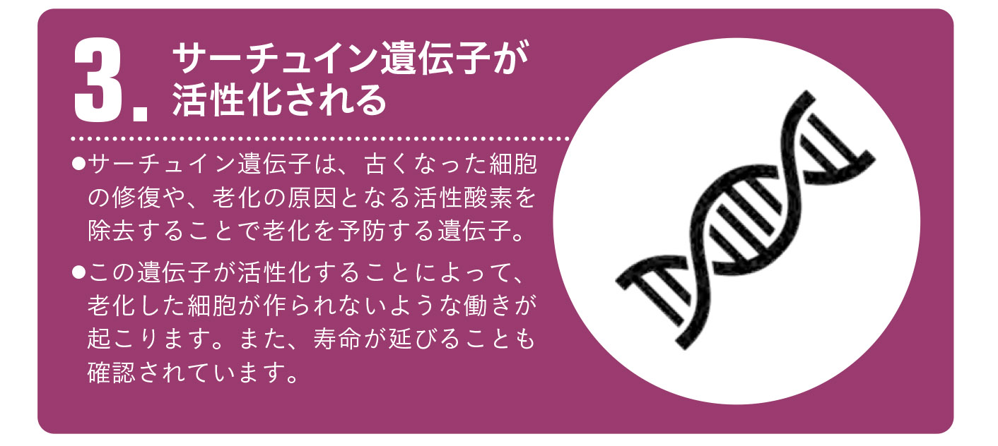 ホルモンや遺伝子にも影響する2【1週間で勝手に最強の免疫力がつくすごい方法】