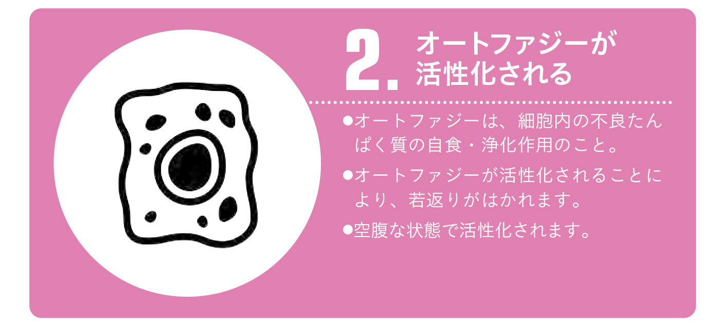 ホルモンや遺伝子にも影響する【1週間で勝手に最強の免疫力がつくすごい方法】