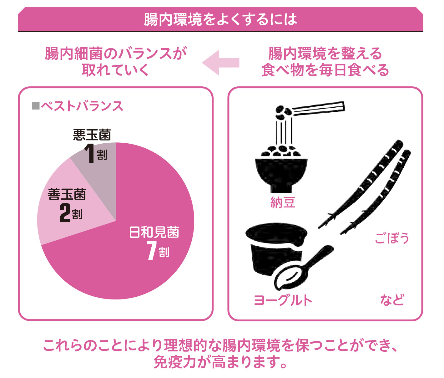 理想的な腸内環境とは2【1週間で勝手に最強の免疫力がつくすごい方法】