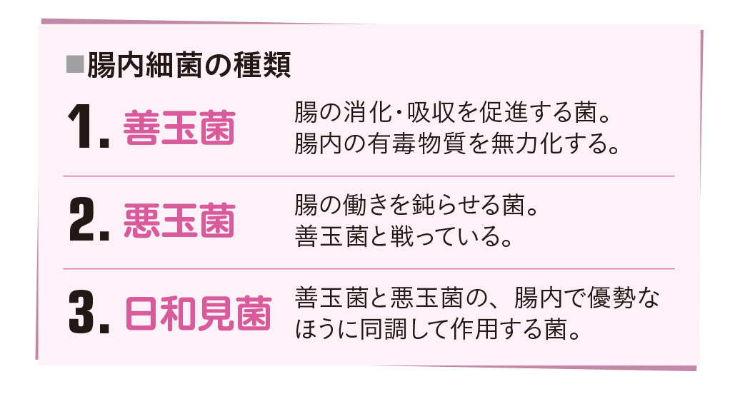 理想的な腸内環境とは【1週間で勝手に最強の免疫力がつくすごい方法】