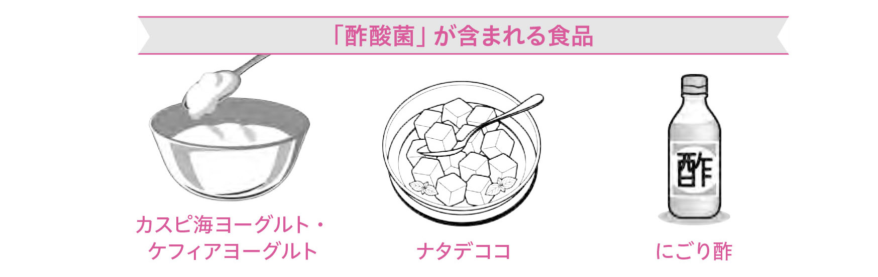 意外に身近、こんな食品・食材にも酢酸菌【1週間で勝手に最強の免疫力がつくすごい方法】