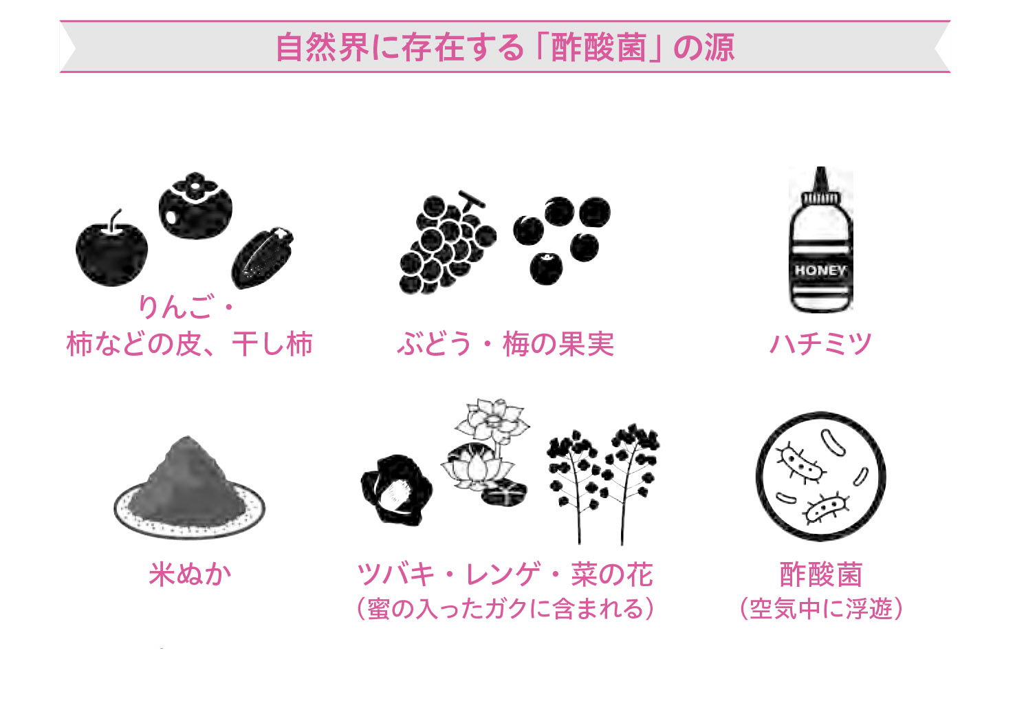 意外に身近、こんな食品・食材にも酢酸菌2【1週間で勝手に最強の免疫力がつくすごい方法】