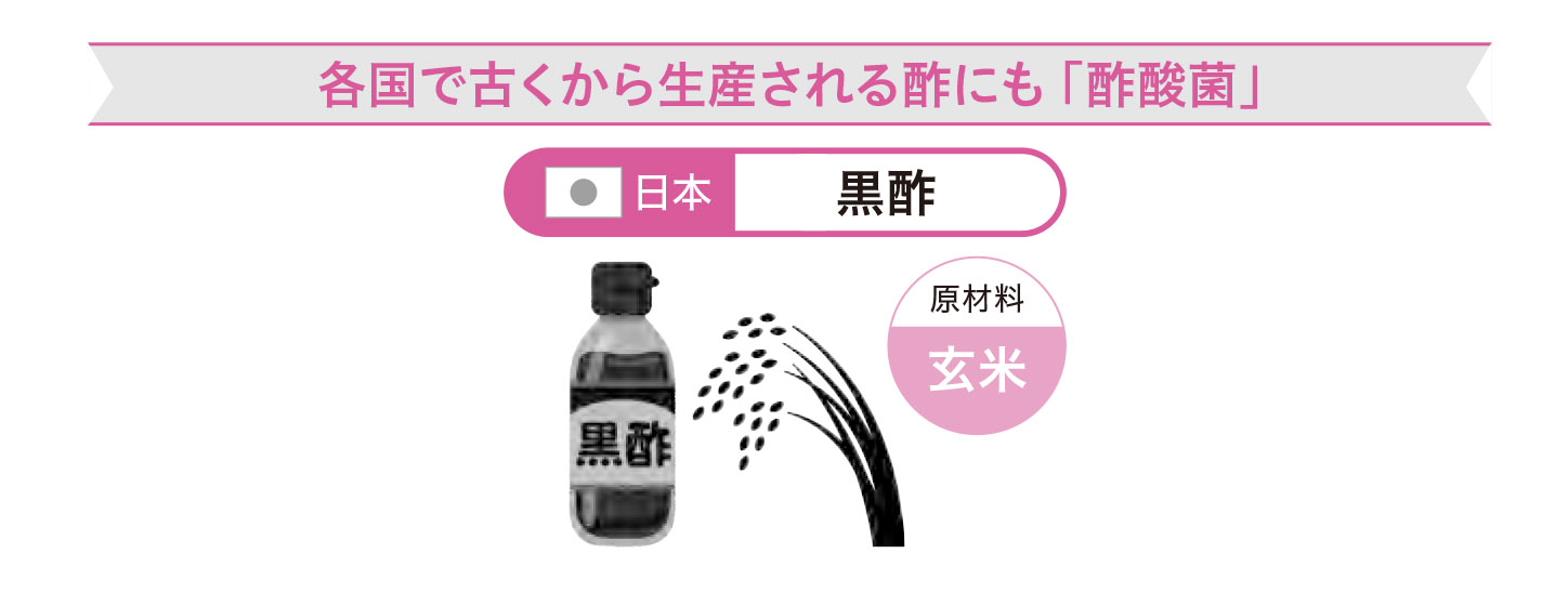 意外に身近、こんな食品・食材にも酢酸菌3【1週間で勝手に最強の免疫力がつくすごい方法】