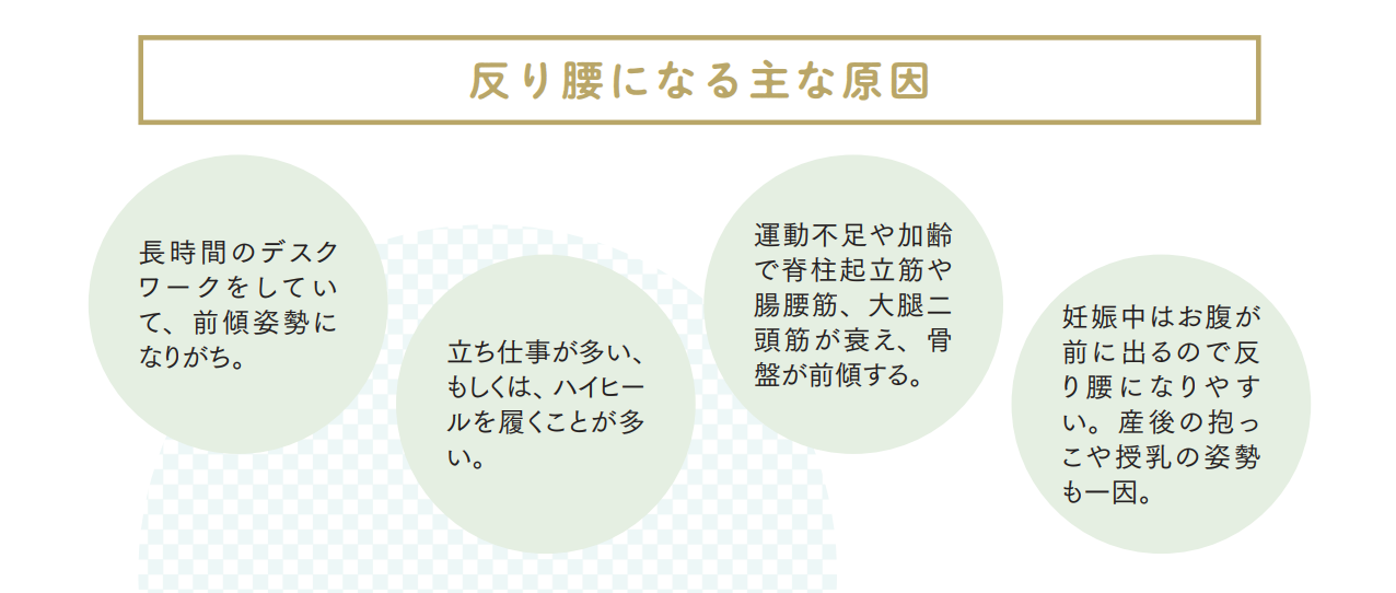 反り腰になる主な原因【プロトレーナーが本気で教える 完全体幹教本】