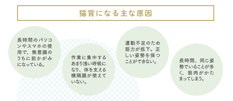 猫背になる主な原因【プロトレーナーが本気で教える 完全体幹教本】