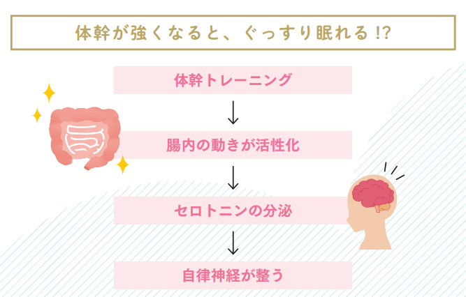 体幹が強くなると、ぐっすり眠れる！？【プロトレーナーが本気で教える 完全体幹教本】