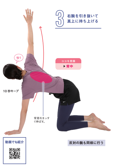 3 右腕を引き抜いて真上に持ち上げる？【プロトレーナーが本気で教える 完全体幹教本】